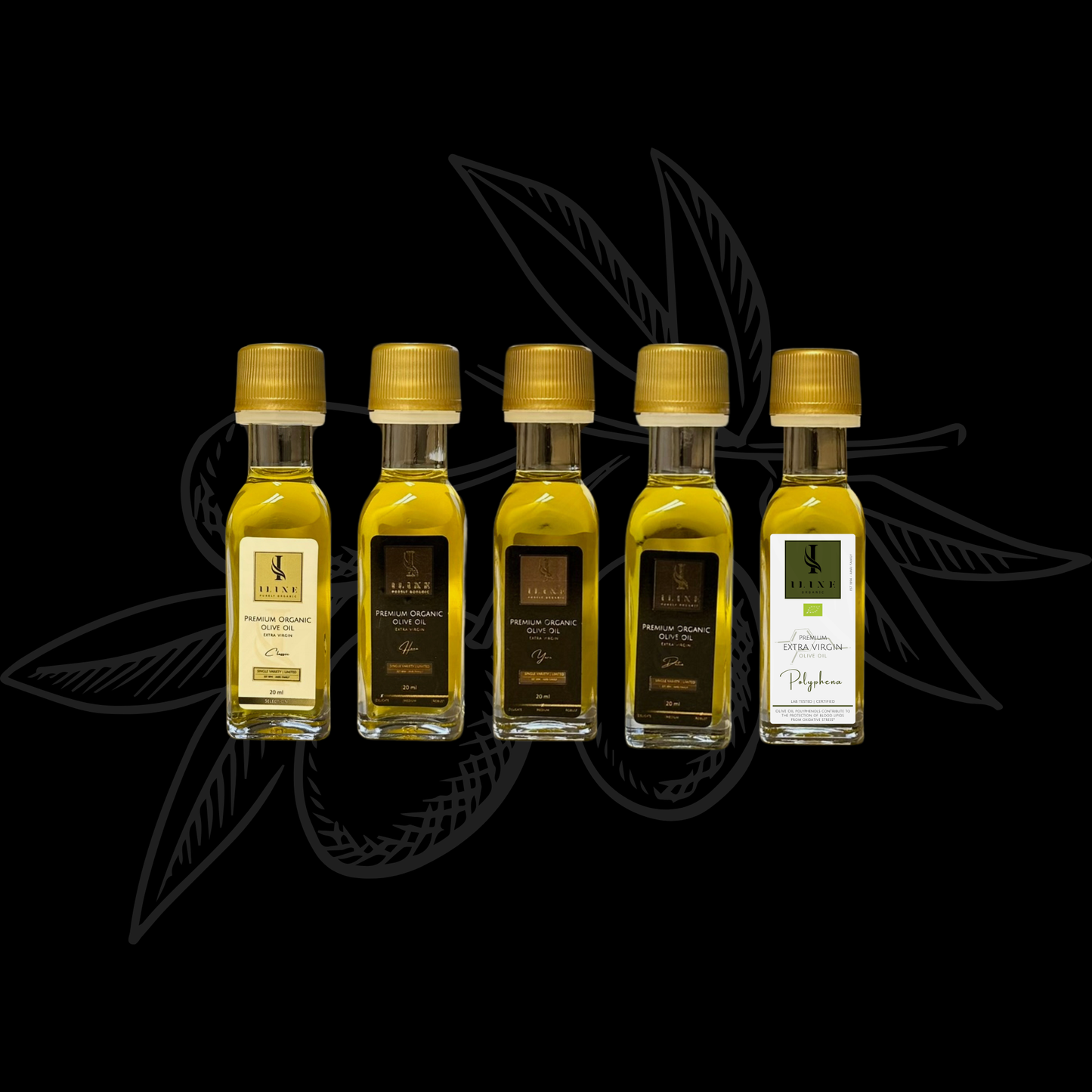 BIO Olivenöl: Kostprobe