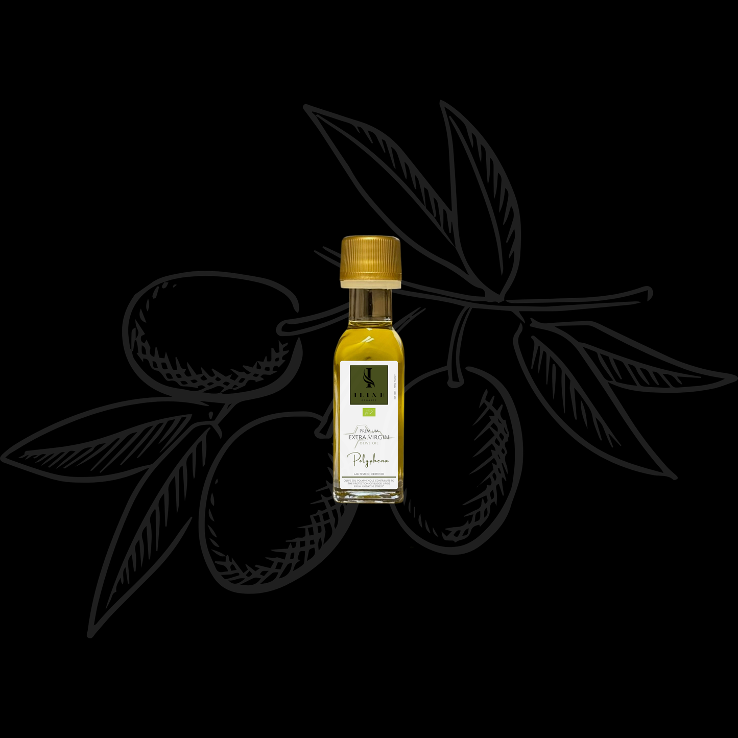 BIO Olivenöl: Kostprobe