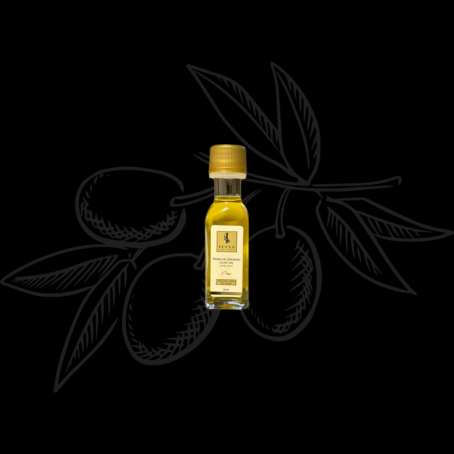 BIO Olivenöl: Kostprobe