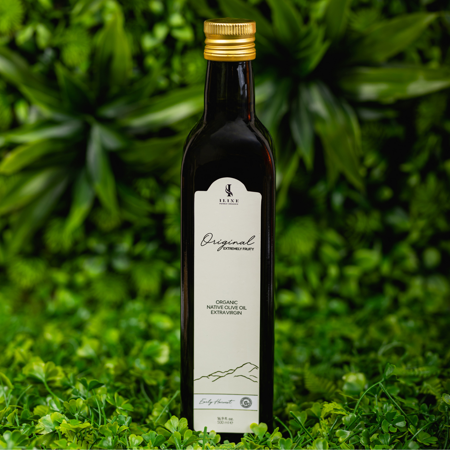 Extra Virgin Organic Olive Oil - LIMITED EDITION