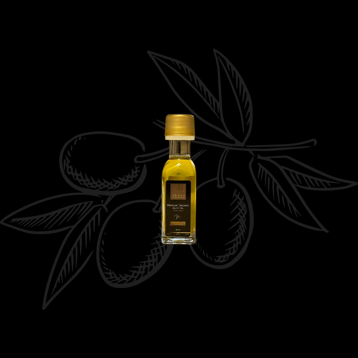 BIO Olivenöl: Kostprobe