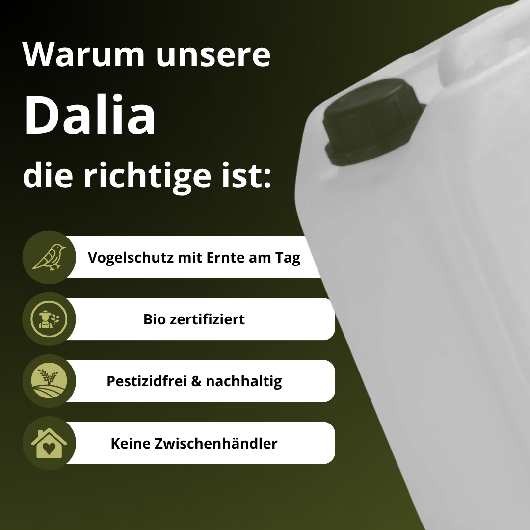 Organic Olive Oil: Canister - Robust