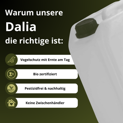 Organic Olive Oil: Canister - Robust
