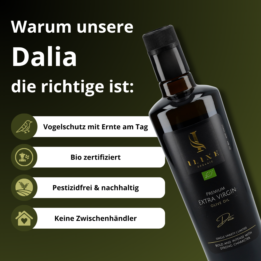 ORGANIC Olive Oil: Dalia (Robust)