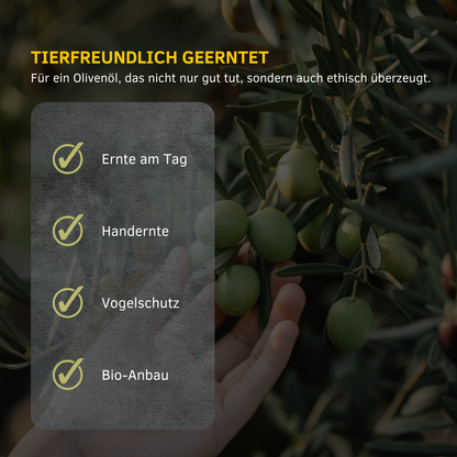 Deutsche Infografik Tierfreundlich geerntet mit Hand an Olivenzweig; Ernte am Tag Handernte Vogelschutz Bio-Anbau.