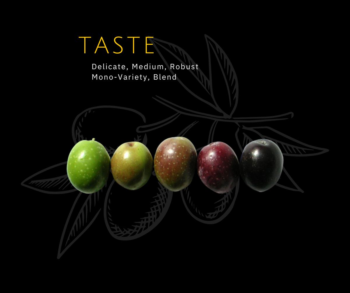 Taste-Grafik mit fünf Oliven von grün bis schwarz; Delicate Medium Robust Mono-Variety Blend.