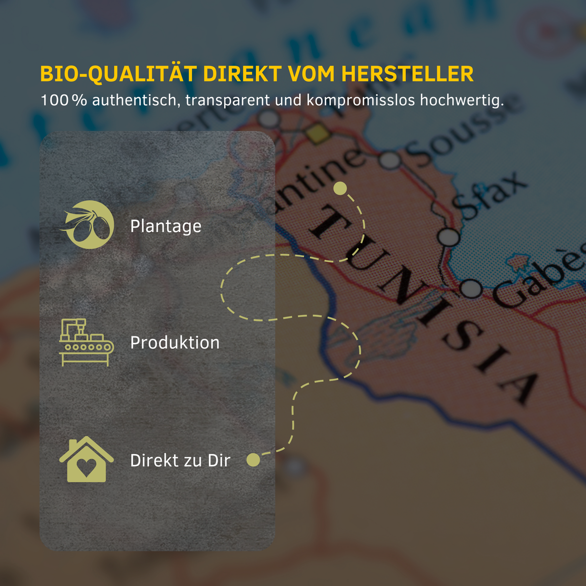 Deutsche Infografik mit Tunesien-Karte; Plantage Produktion Direkt zu Dir.