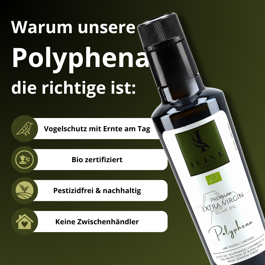 Organic olive oil: Polyphena