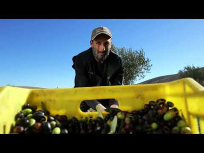 Organic olive oil: Polyphena