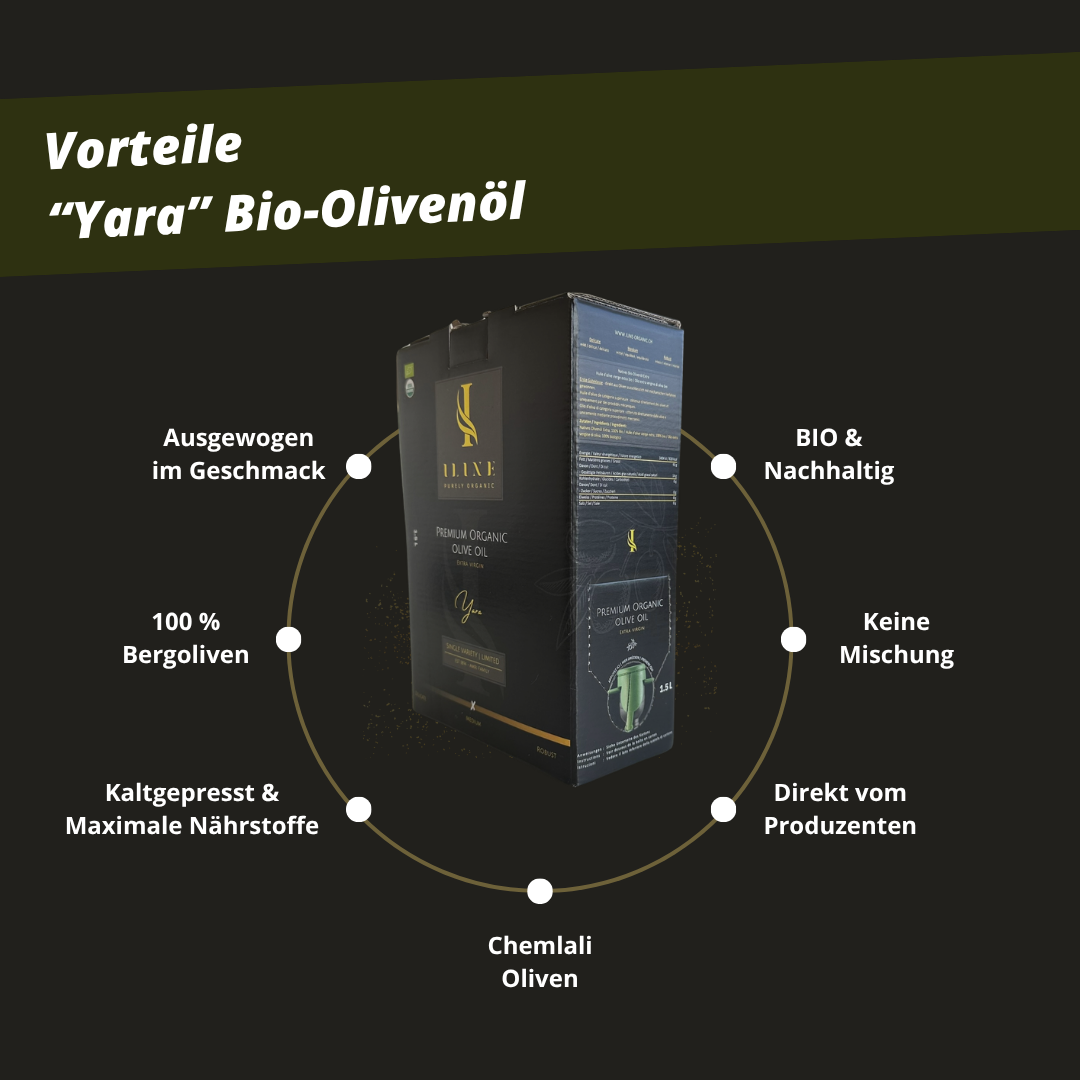 Huile d'olive BIO : bidon - Medium